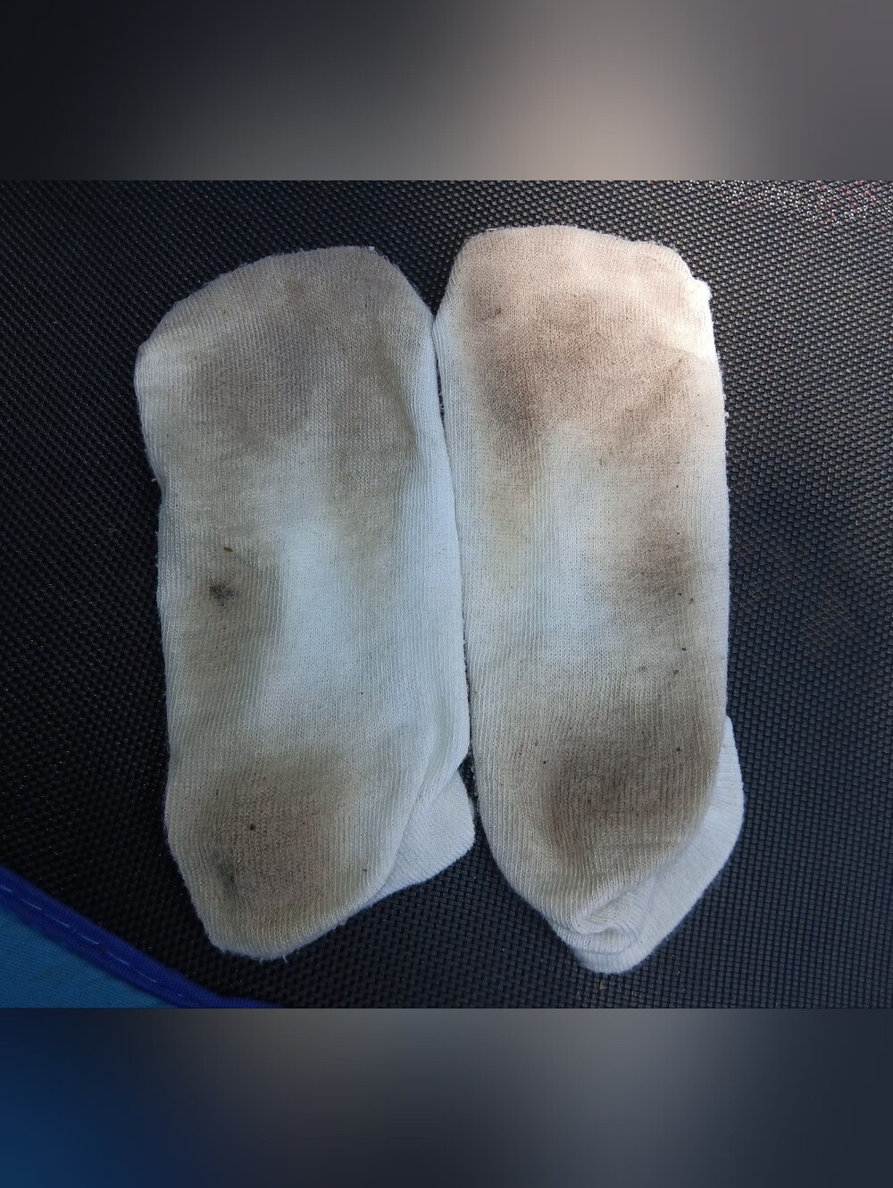 Very Smelly Socks